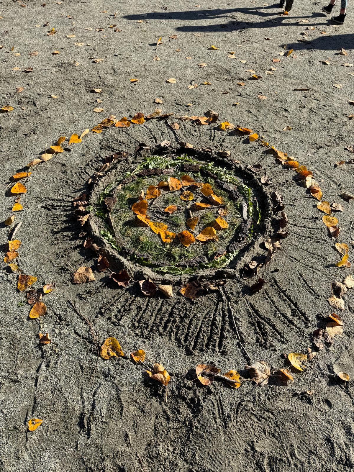 چیدمان طبیعی از برگهای پاییزی